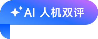 AI 人机双评